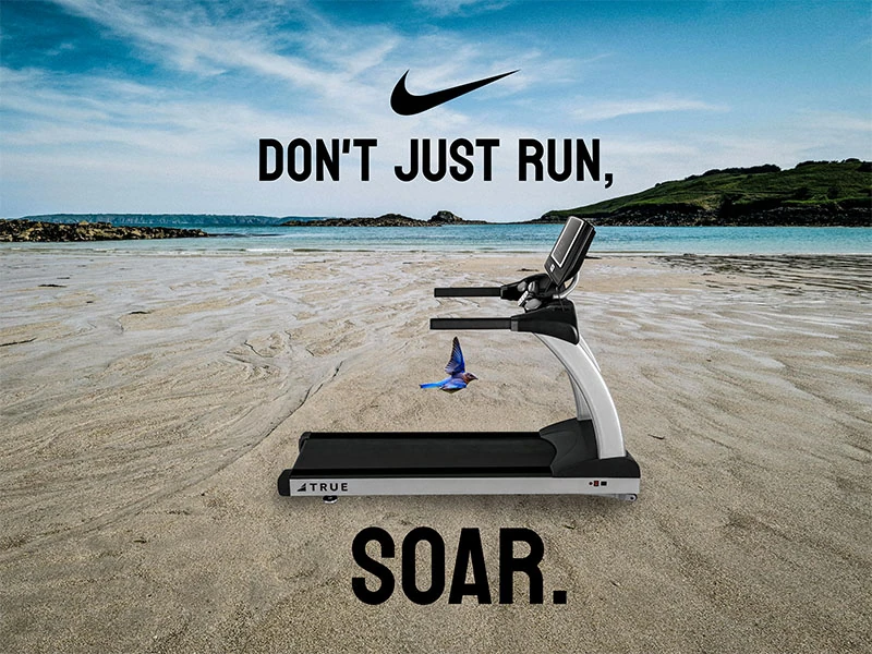 Spec ad concept: a treadmill standing on an empty beach, a bird in flight beside it, with the line Don&rsquo;t just run, SOAR.