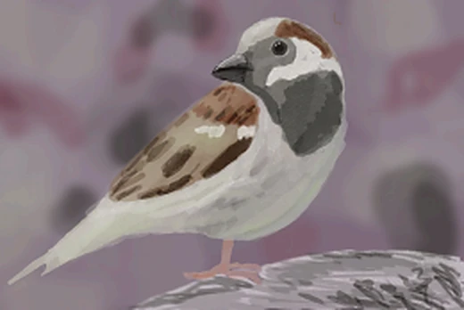 Digital painting of a sparrow perched on a rock